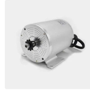 MY1020 Upgraded Brushless High Speed Motor 36/48V Brushless High Speed Motor - Picture 1 of 18