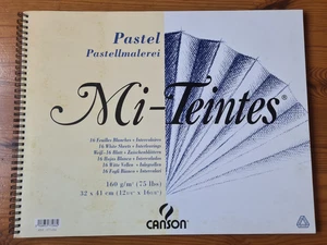 Canson Mi-Teintes Pastell Papierblock, 32 x 41 cm x 16 Blatt, neu/unbenutzt - Bild 1 von 1