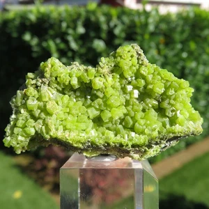 Minerali *** STUPENDA PIROMORFITE VERDE in CRISTALLI Cina - Imagen 1 de 2