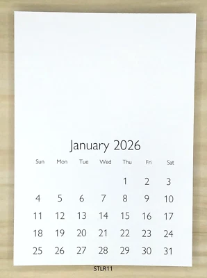 Mini calendario XL 2026 en blanco 5" x 7" (LOTE de 5) DECORAR, SELLO, HÁGALO USTED MISMO, ÁLBUM DE RECORTES Foto 1 de 2