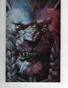 INVINCIBLE UNIVERSE BATTLE BEAST #1 DAN PANOSIAN ART FOIL EXCLUSIVE Image Comics - Imagen 1 de 2