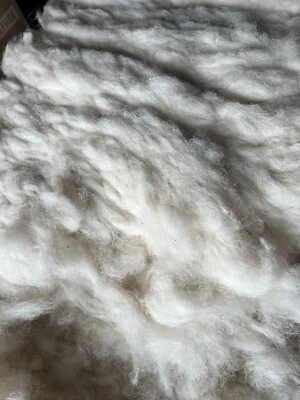 FELTING Natural Fiber Sheep Wool WASHED Stuffing Insulation Filling 5 lb - Image 1 of 3