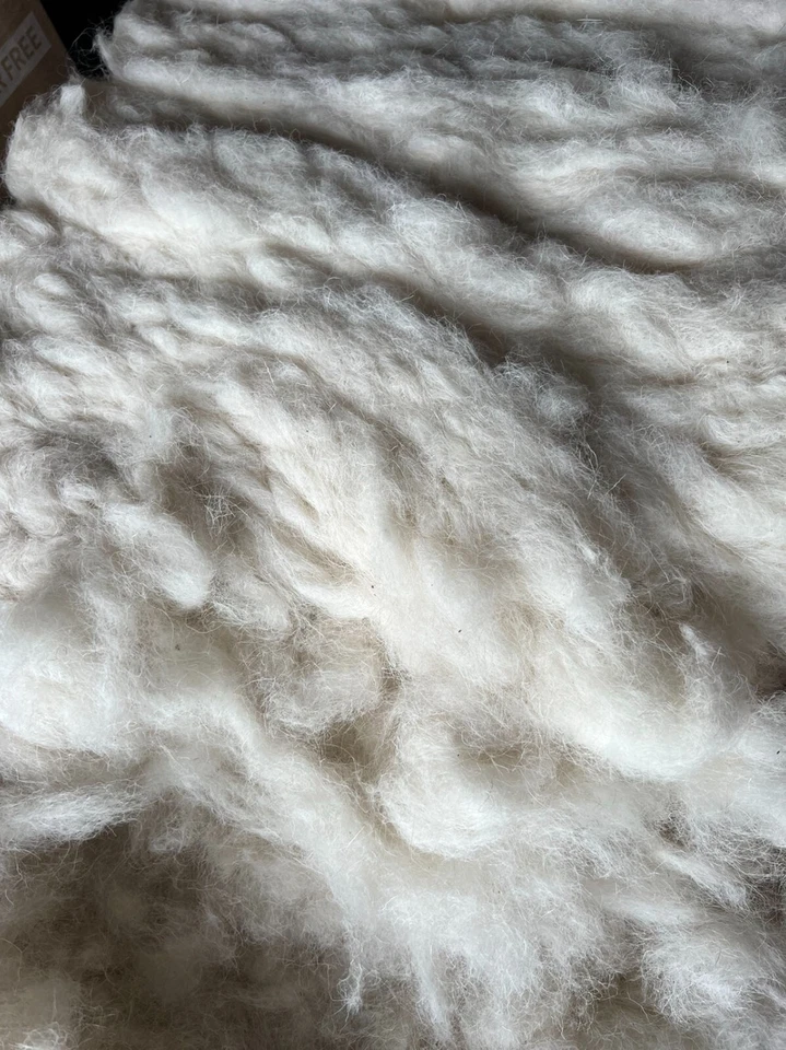 FELTING Natural Fiber Sheep Wool WASHED Stuffing Insulation Filling 4 lb - Image 1 of 2