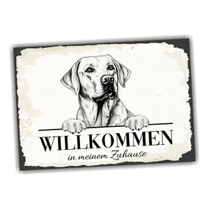 Hundeschild Willkommen Zuhause Labrador Labby No.1 Dog Schild Spruch Türschild W - Bild 1 von 5