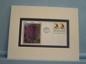 Honoring Garden Flores - El Tulipán y Cubierta del Primer Día de su propia Estampilla - Imagen 1 de 1