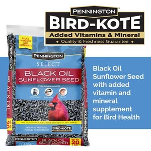 Select Black Oil Sunflower Seed Dry Wild Bird Feed, 20 lb. Bag, 1 Pack - Picture 1 of 9