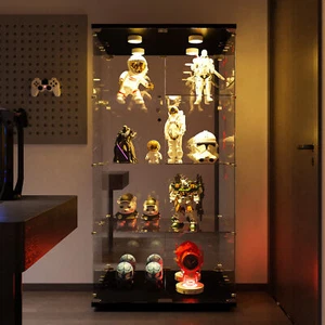 Vitrine Sammlervitrine Schaukasten Glasvitrine Vitrinenschrank mit Beleuchtung - Bild 1 von 12