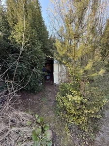Eigentumsgarten zu verkaufen - Bild 1 von 19