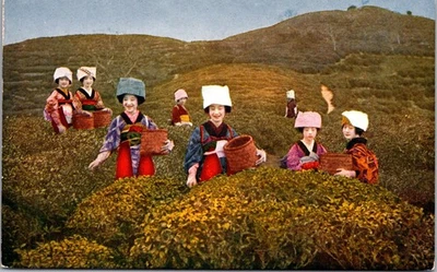 JAPAN VINTAGE PICTORIAL COLOR POSTCARD FARMING UNADDR - Image 1 of 2