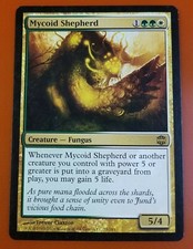 1x Mycoid Shepherd | Alara Reborn | MTG Magic Cards