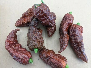 SEEDS- Pepper Hot-10 Leviathan Gnarly Scorpion Caramel-Rare Unique Texture Spicy - Bild 1 von 3