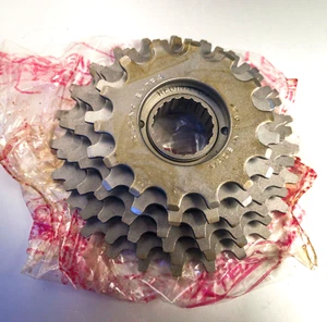 REGINA EXTRA BX 6 speed RUOTA LIBERA 14/24 FILETTO ITALIANO FREEWHEEL NEW EROICA - Foto 1 di 12