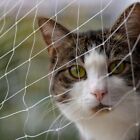 Pet Prime Katze Sicherheitsnetz für Balkonfenster transparentes Schutznetz für Katzen