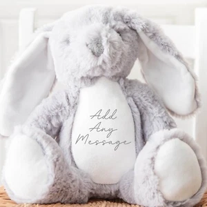 Personalised Message Teddy, Custom Message Bunny Teddy, Personalised Teddy Bear - Picture 1 of 5