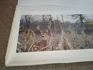 Dusk Brent Townsend SIGNED hunting GAME ROOM HUNT CLUB ART PRINT Deer NATURE AP - Picture 1 of 16