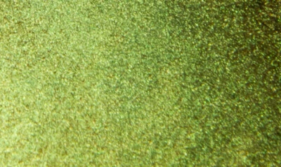 Lil' Daddy Roth Pearl Factory Finkster verde Foto 1 de 3