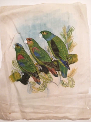 Pequeña pintura a mano de colección de loros pájaros verdes azules sobre tela de seda imperfecta 8,5x Foto 1 de 4