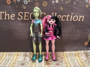 2014 Monster High 11,5 Zoll Porter Geiss Paintergeist Draculaura Puppe LOT - Bild 1 von 17