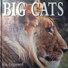 Big Cats by Kit Coppard ~ Hardcover 1st Edition Very Good Condition