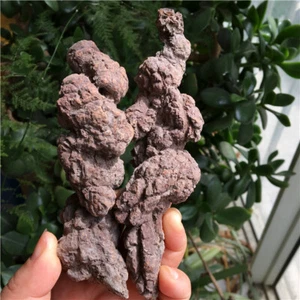 424gCoprolite Fossilized Dinosaur Poop Natural Rough Mineral Fossil SpecimenU934 - Foto 1 di 8