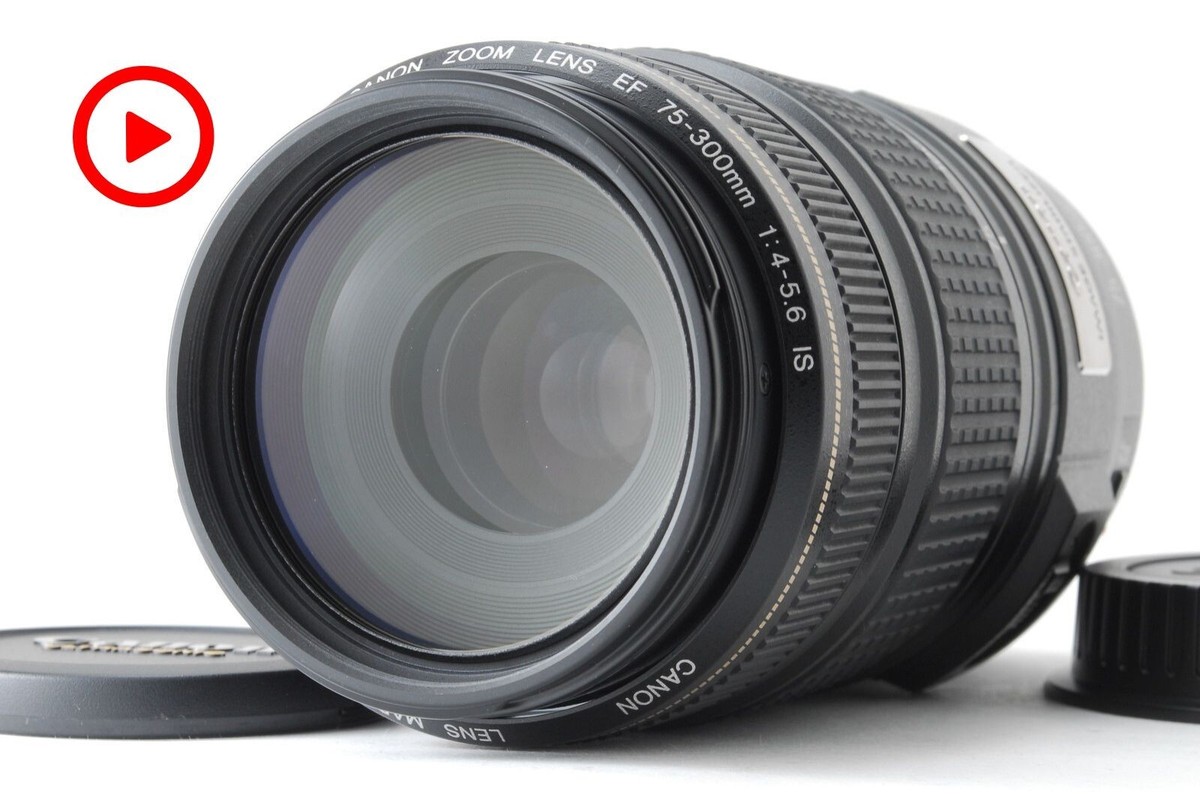 CANON ZOOM LENS EF 75-300mm 1:4-5.6 Ⅱ 良品 【公式通販】