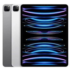 Apple iPad Pro 11" 4th Gen (2022) - Wi-fi + 5G - All Sizes & Colours - Good - Picture 1 of 9