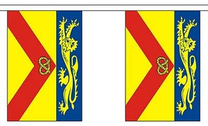 STAFFORDSHIRE 3m BUNTING 10 FLAGS Stafford flag 3 metres - Picture 1 of 1