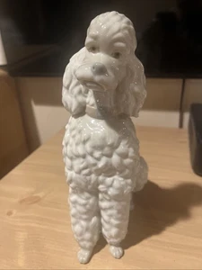 Lladro Pudel glasiert selten - Bild 1 von 6