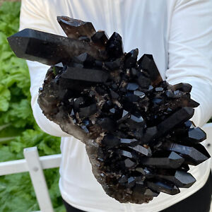 3.7LB Natural Tea black Crystal quartz Cluster Mineral Specimen Healing reiki