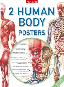 NEW sealed pack x 2 GIANT HUMAN BODY POSTER Anterior Posterior Anatomy 35 x 25cm - Imagen 1 de 3