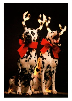 Cachorro dálmata vestido de renas cartão de Natal com envelope MG25 - Imagem 1 de 3