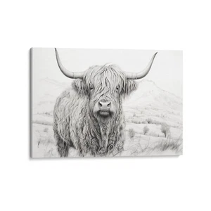 Black & White, Highland Cow, Drawing Canvas 24x36 Canvas Wall Art Print Decor - Picture 1 of 8