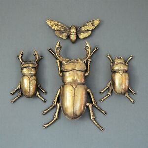 Steampunk Gold Stag Lady Beetle Wall Bee Art Hanging Insect Bug Ornament Décor