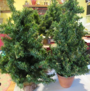 2 Vintage Fir Tabletop Christmas Trees A - Picture 1 of 2