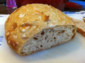 GOLDRUSH SURDOUGH STARTER HEFE 150 JAHRE ALT LARRY DEEP SOUR - Bild 1 von 3