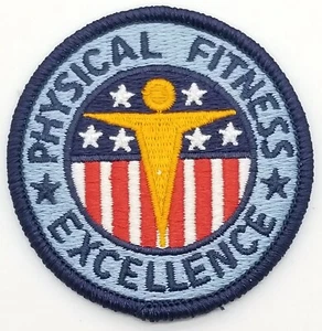 Army Physical Fitness Excellence Patch Badge 8455-01-247-0000 - Picture 1 of 3