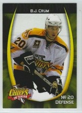 B.J. Crum 2007-08 Johnstown Chiefs (ECHL) 