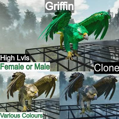 MY ARK ASCENDED Ark Survival Ascended Pve Griffin Clone High Lvl Ragnarok tame