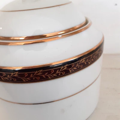 Nunca usado Mikasa ARAMIS Grande Marfil Crema Hoja de Azúcar Patrón Granate brillante Foto 1 de 4