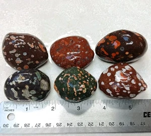 6 Lake Superior Rocks Amygdaloidal Basalt Natural Art Display Michigan Stones - Picture 1 of 4