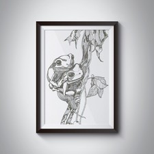 Hesharm Artwork Sketches Frog A3 with Frame Wall Decor