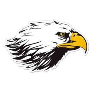 Bald Eagle Head, Vinyl Decal Sticker, Indoor Outdoor, 3 Sizes, #7632 - Picture 1 of 1