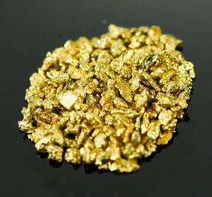 Pepitas Alaskan Yukon Gold Rush #25 malla 1 gramo de multas - Imagen 1 de 7