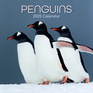 Penguins - 2025 Square Wall Calendar Pets Animals 16 Months Premium Planner Gift - Picture 1 of 4