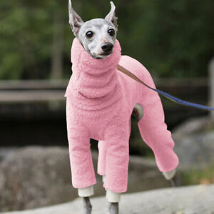 Greyhound S Dog Clothing & Shoes for sale | eBay