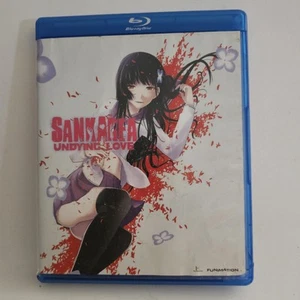 Blu-ray Only Sankarea Undying Love 4 Discs DVD/Blu-ray Kombi - Bild 1 von 7