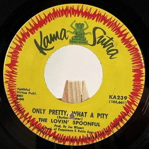 THE LOVIN' SPOONFUL 45 RPM ONLY PRETTY, WHAT A PITY / SHE IS STILL A MYSTERY—VG+ - Picture 1 of 6