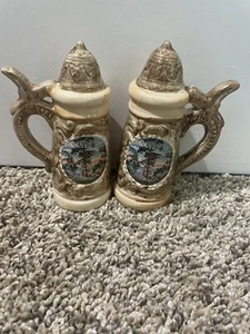 Vintage Wisconsin Dells Wisconsin Salt And Pepper Shakers - Picture 1 of 6