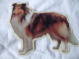GRAND AUTOCOLLANT  - motif chien  COLLEY N° 3 - Picture 1 of 1