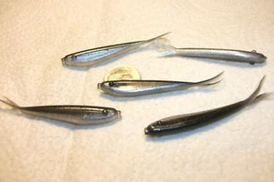 70-2 1/4"-Crappie bass-panfish-shad minnow-jig grubs-bait-lure-split tail-flukes - Picture 1 of 7